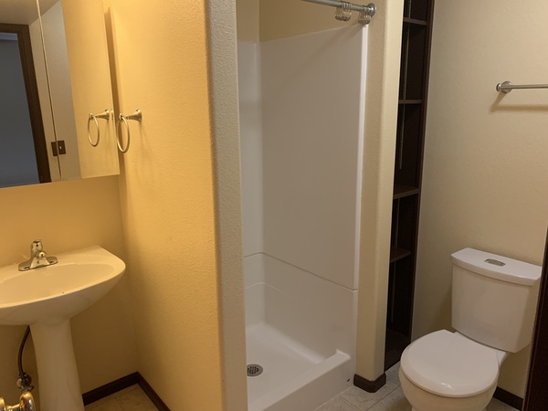 Basement Bathroom