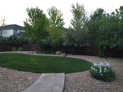 Backyard